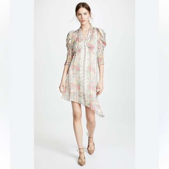 Anna Sui Whisper Rose Floral Striped Asymmetrical Puff Sleeves Cream Dress 6 - Picture 3 of 16